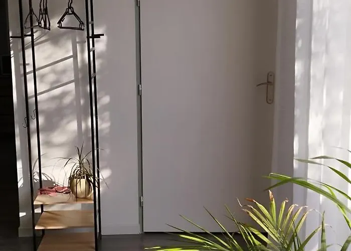 L'ecrin Angevin Hébergement de vacances Le Plessis-Grammoire